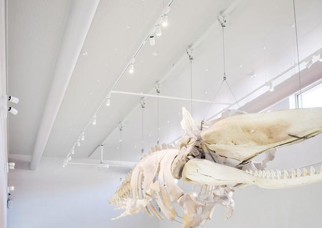 NAVIGO Fishereimuseum