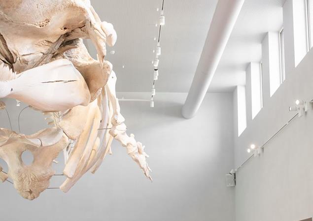 NAVIGO Fishereimuseum