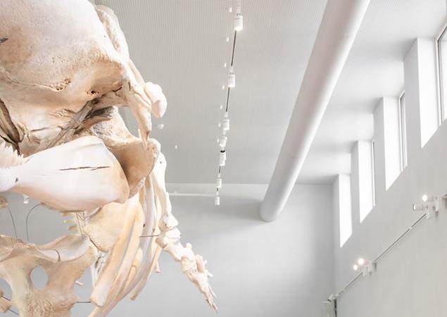 NAVIGO Fishereimuseum